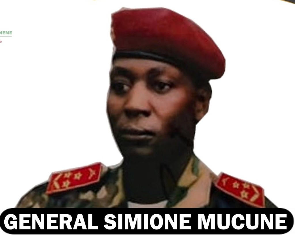 General Simione Mucune, patrono da instituição